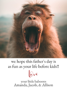 Baboon
