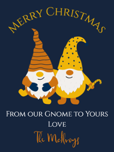 Gnome for Christmas