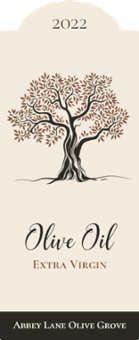 Olive Tree
