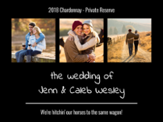 Panorama Wedding